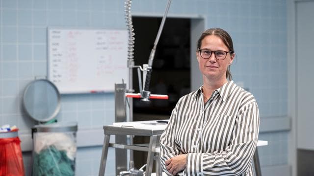 Arbeit am Seziertisch: Wo der Tod sehr präsent ist - die Mainzer Rechtsmedizin