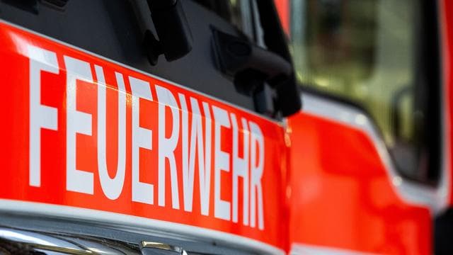 Brände: Waldbrand bei Hainburg: 2,5 Hektar Fläche zerstört