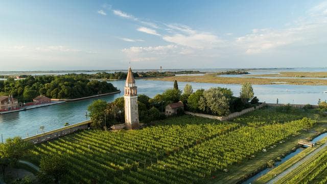 Venissa Wine Resort: Im Garten der goldenen Traube von Venedig