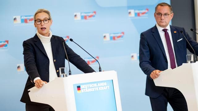 Parteien: AfD-Chefs fordern Neuwahl der NRW-Kandidatenliste