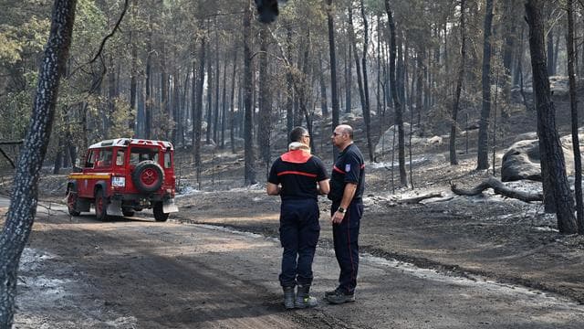 Wald von Fontainebleau: Feuerwehrmann gesteht Mitschuld an Waldbrand bei Paris