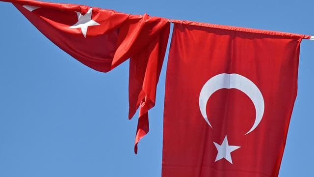 Haluk Levent: Türkische Polizei nimmt Sänger und NGO-Gründer Haluk Levent fest