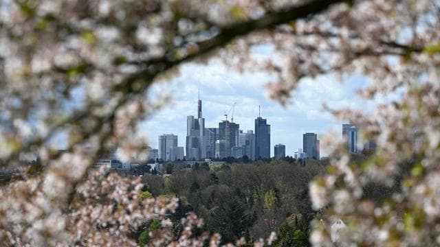 Potenziale vor der Haustür: Handelsverband: Regionale Produkte in Hessen im Trend