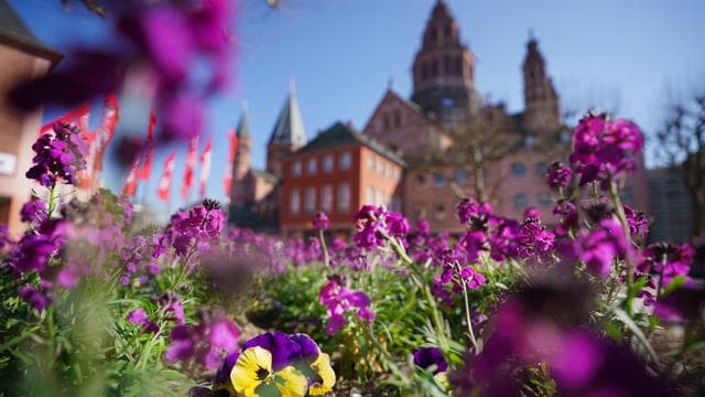 Rheinland-Pfalz und Saarland: Sonnenschein und bis zu 22 Grad - danach Regen möglich