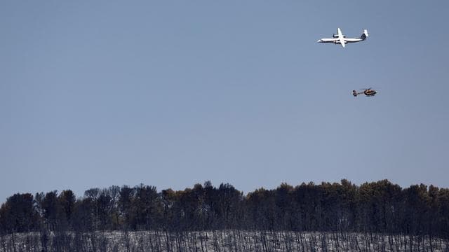 Kehrseiten des Sommers: Feuer und Hitze: Frankreich und Spanien kämpfen gegen Brände