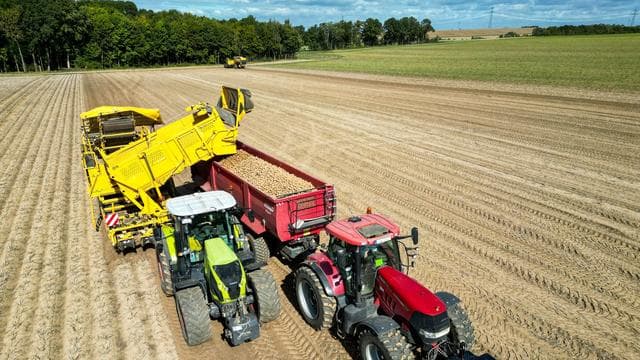 Große Landwirtschaftsbetriebe: Studie warnt: EU-Agrarreform trifft Ostdeutschland stärker