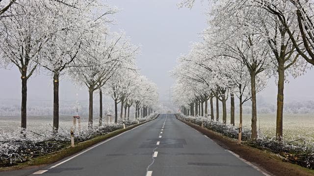 Wettervorhersage: Glatte Straßen in Sachsen-Anhalt