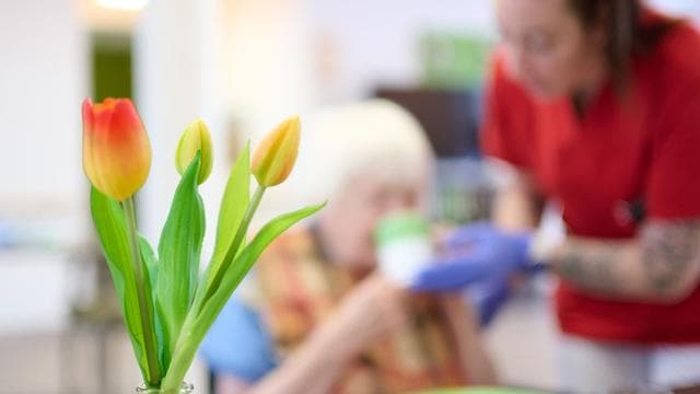 Soziales: Pflege im Heim noch teurer - Was bringt die Reform?