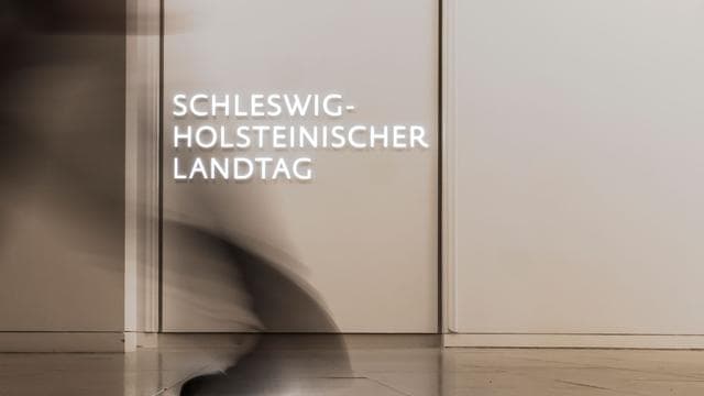 Befragung: Umfrage: Nord-CDU büßt weiter ein, AfD zweitstärkste Kraft