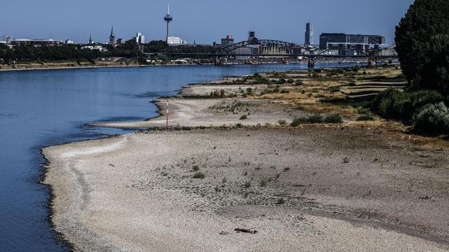 Niedrigwasser: Niedriger Wasserstand im Rhein könnte Wirtschaftsleistung dämpfen