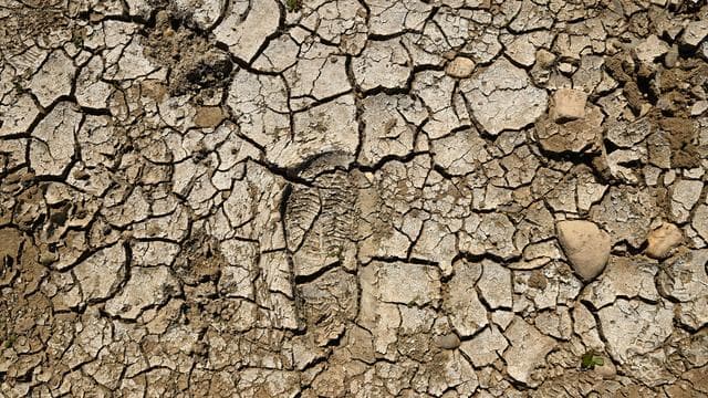 Erdüberlastungstag: Grüne mahnen mehr staatlichen Klimaschutz an
