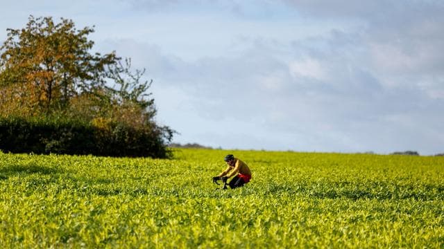 Wetter: Weitgehend trockene Tage nach stürmischem Wochenende