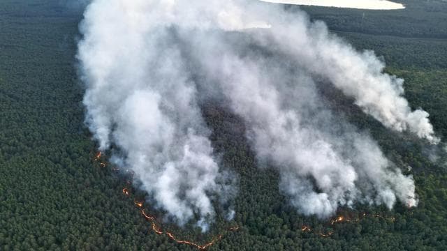 Waldbrand im Müritz-Nationalpark: Waldbrand in Müritz-Nationalpark laut Umweltminister unter Kontrolle
