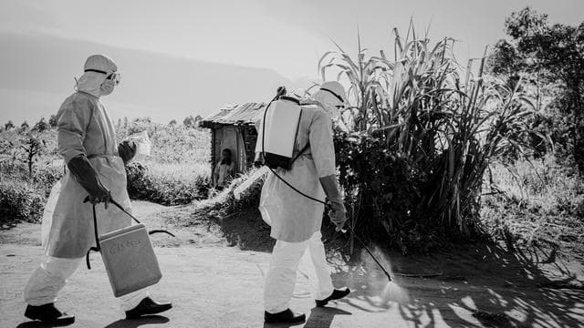 Ebola-Ausbruch im Kongo: Auf der Suche nach Patient null 
