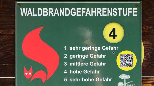 Trockenheit: Hohe Waldbrandgefahr in Teilen Thüringens