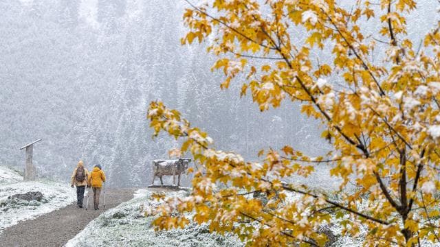 Wettervorhersage: Regen, Gewitter und Sturm - Bayern erwartet nassen Sonntag