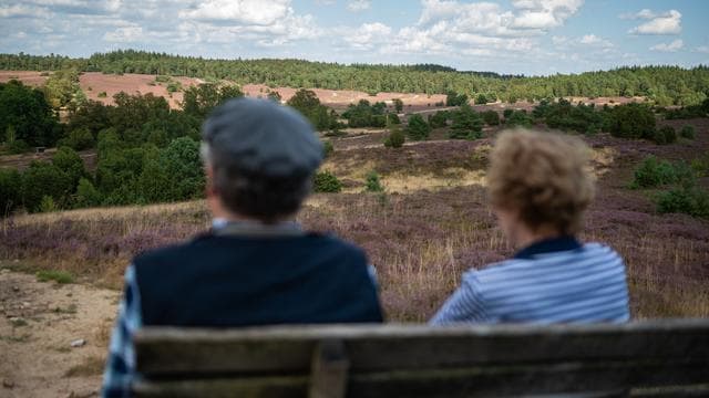Sozialstaat: Sozialausgaben steigen auf knapp ein Drittel der Wirtschaftsleistung