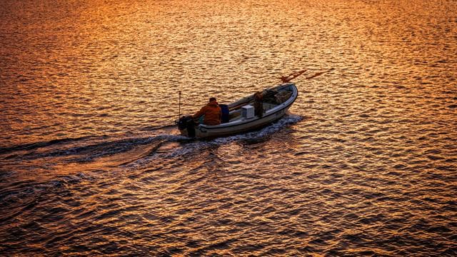 Fisch: Keine neuen Einschränkungen für Ostseefischer