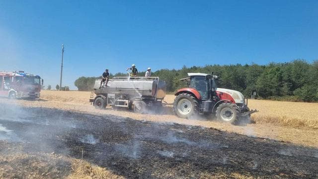 Hitze und kein Regen: Trockenheit im Südwesten – Feuerwehr warnt vor Brandgefahr