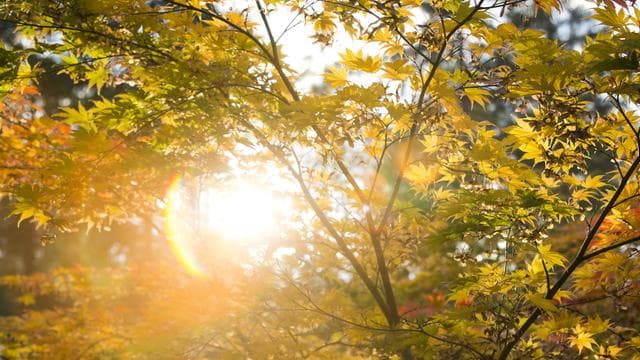 Sonnencreme: Man sollte auch im Winter Sonnenschutzcreme auftragen. Stimmt’s?