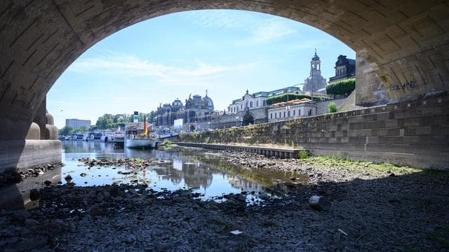 Trockene Böden: Dürre-Experte: Müssen wissen, wer wie viel Wasser nutzt