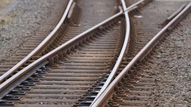 Nach Unwetter: Baum stürzt auf Oberleitung - Saarbahn-Linie ausgebremst