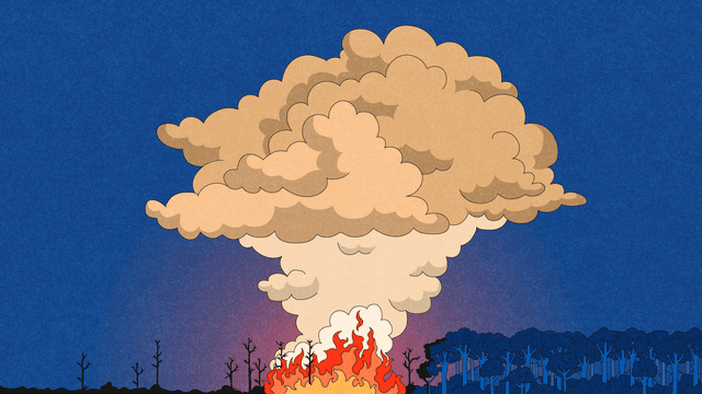 Feuersturm in Frankreich: Wie Feuergewitter Waldbrände anfachen