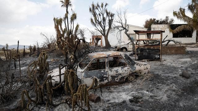 Hitzewelle: Zahl der Toten durch Waldbrand in Spanien steigt