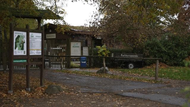 Kind von Wolf attackiert: Nach Wolfsangriff auf Mädchen: Behörde prüft Wildpark