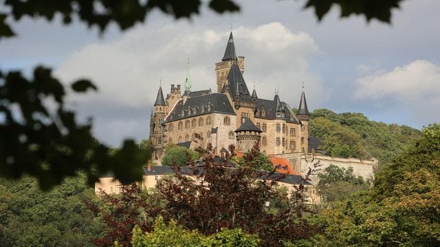 Kultur im Harz: Musik trotz Baustelle - Festspiele auf Schloss Wernigerode