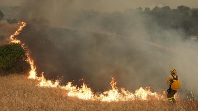 Waldbrände: Mehr als 19.000 Menschen in Spanien müssen ihre Häuser verlassen