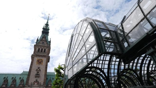Elbvertiefung: Der tägliche Newsletter aus Hamburg: Auf dem Rathausmarkt gibt es jetzt Weinbergschnecken (mit Chili-Öl)