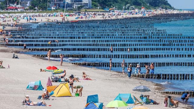 Vibrionen: Berliner Gesundheitsamt meldet Todesfall nach Vibrioneninfektion
