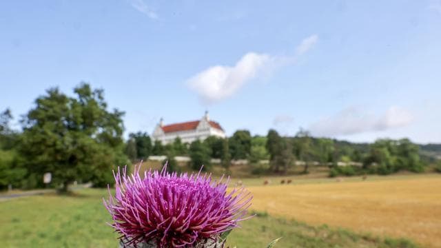 Wetter: So sommerlich wird der Wochenstart