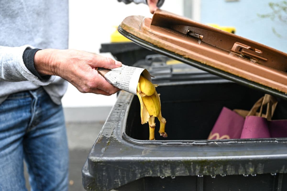 Why you'll have to take more care sorting your biowaste in Germany from May