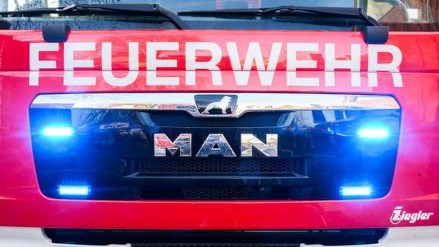 Rhein-Pfalz-Kreis: Brand auf Gelände von Recyclingfirma