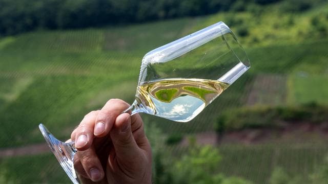 Weinbau: Trockene Weine im Trend