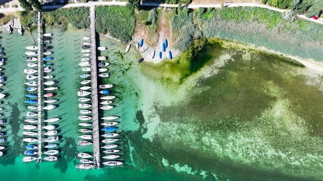 Niedrigwasser: Bodensee fällt auf historischen Tiefstand im Juli