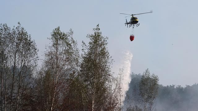 Mecklenburg-Vorpommern: Feuerwehr bekämpft Brand im Müritz-Nationalpark