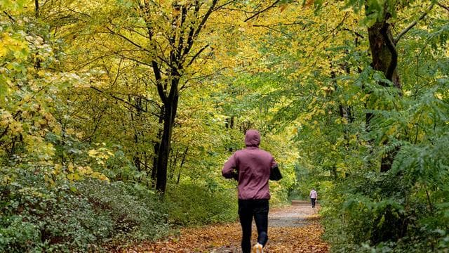 Wetter: Bis zu 17 Grad am Dienstag - danach kommt neuer Regen
