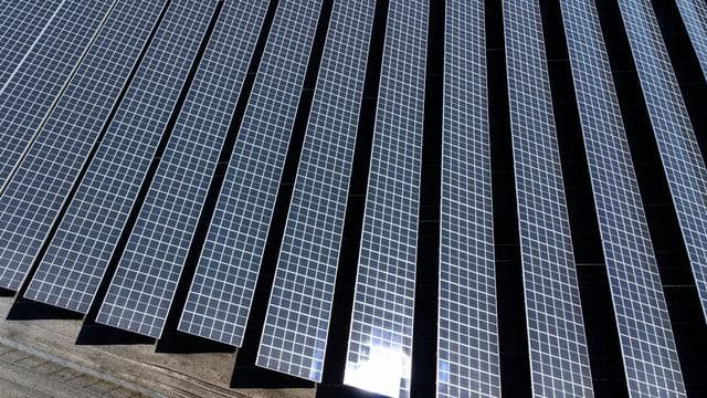 Ökostrom: Erneuerbare Energien: Netzanschlüsse gefragt wie noch nie