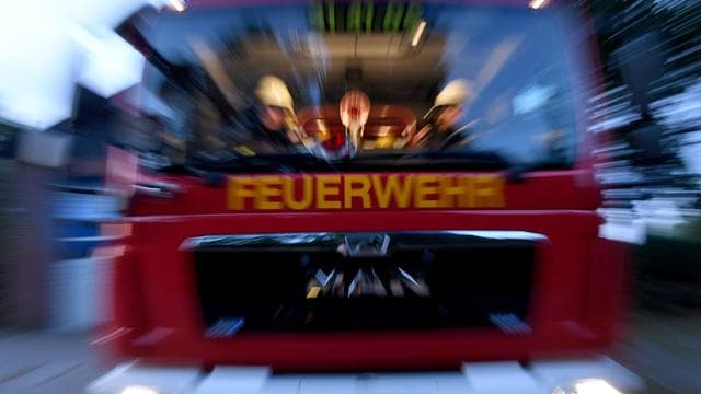 Brände: Feuer auf Nordseeinsel: Vogelwarte und Vegetation beschädigt