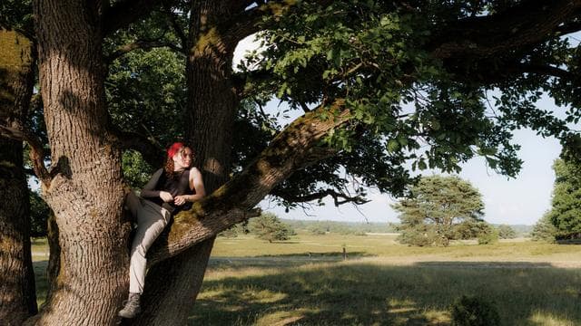 Wanderwege in Deutschland: Läuft bei uns: Hier sind die 30 schönsten Wanderstrecken Deutschlands