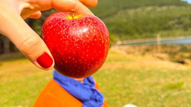 Gesundheitswahn in der Beziehung: »Urlaub bedeutet für ihn eigentlich Trainingslager« 