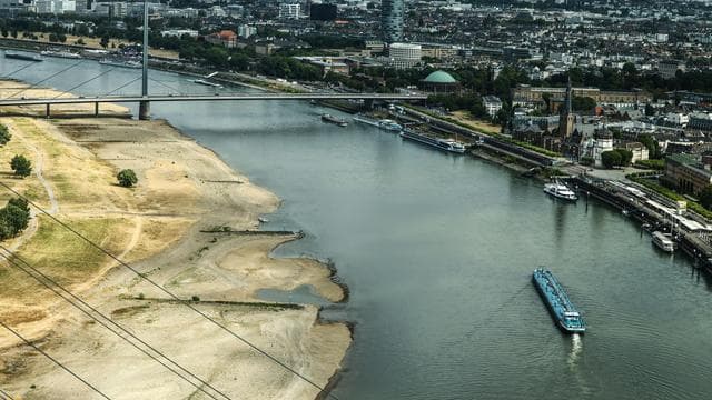 Dürre in Europa: Niedrigwasser am Rhein zwingt Logistik auf Schiene und Straße