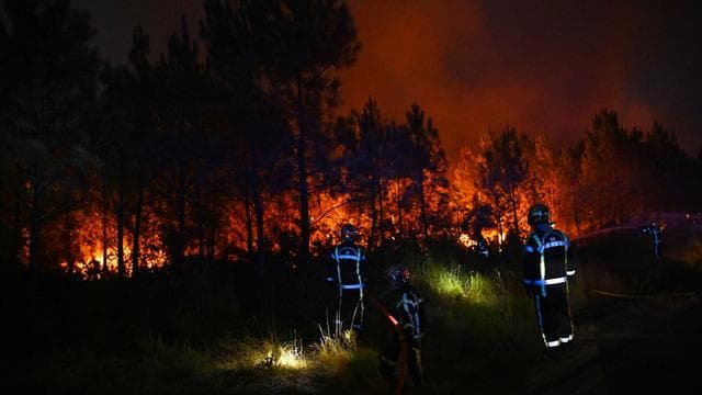 Waldbrände: Waldbrände bei Bordeaux: Feuerwehr kämpft gegen neue Flammen