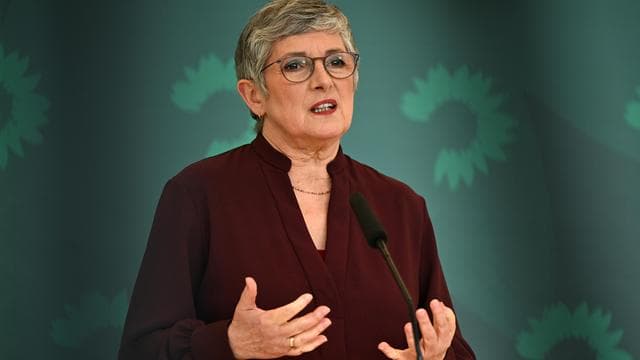 Leihmutterschaft: Haßelmann fordert erneute Auseinandersetzung mit Reproduktionsmedizin