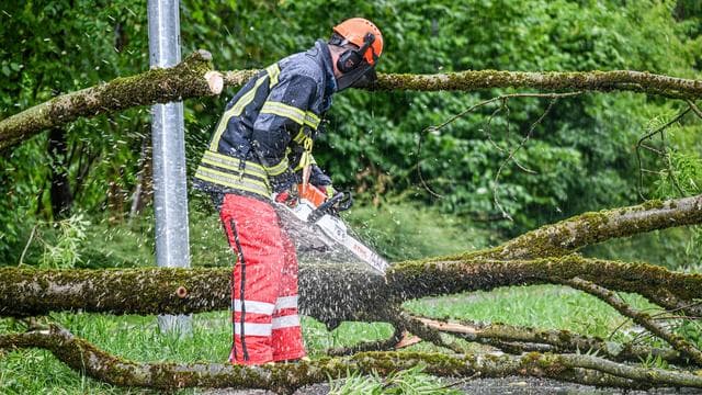 Umgestürzte Bäume: Unwetter verschont Baden-Württemberg in der Nacht weitgehend