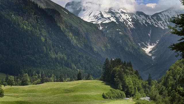 Im Grenzgebiet zu Österreich: Zwei Deutsche stürzen beim Klettern in Österreich ab - tot