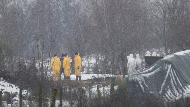 Tierseuche: Krisenstäbe beraten über Schutz vor Maul- und Klauenseuche
